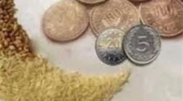 دار الإفتاء المصرية تحدد 35 جنيها كحد أدنى لقيمة زكاة الفطر